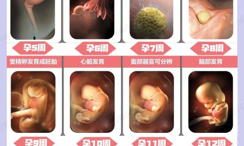 怀孕可以吃红椒吗？怀孕吃什么比较好