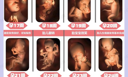 8个月孕妇咳嗽怎么办网-分享怀孕八个多月剧烈咳嗽，怀孕八个多月剧烈咳嗽知识库